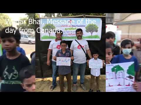 Tree Plantation Program